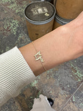 Load image into Gallery viewer, Arabic Year Spirit ,Full VS Diamond